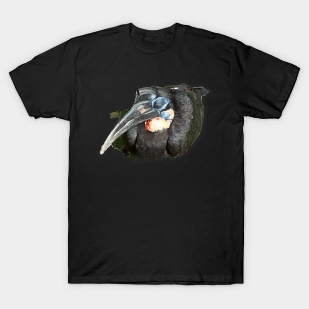 Abyssinian Ground Hornbill T-Shirt by Sharonzoolady